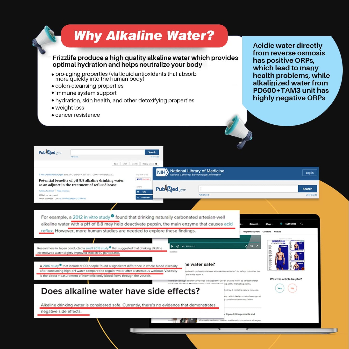 Frizzlife RO Umkehrosmose-Wasserfiltersystem (PD800-TAM4 Alkalisch RO)