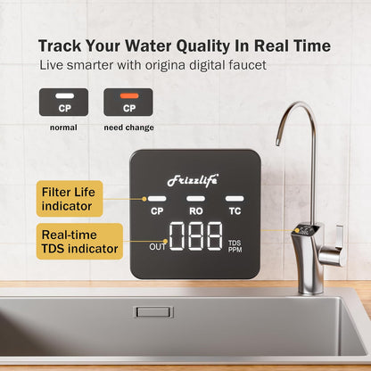 Frizzlife RO Umkehrosmose-Wasserfiltersystem (PD800-TAM4 Alkalisch RO)