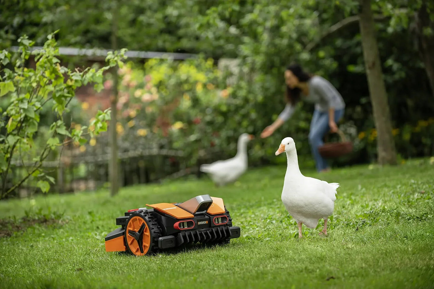 Worx Landroid Vision L1300 (WR213E) Mähroboter