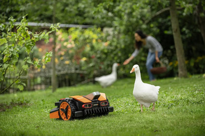 Worx Landroid Vision L1300 (WR213E) Mähroboter